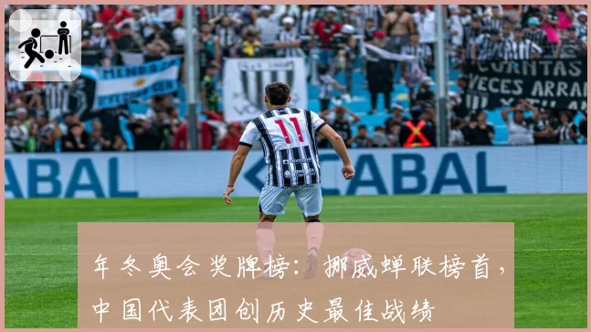 年冬奥会奖牌榜:挪威蝉联榜首,中国代表团创历史最佳战绩